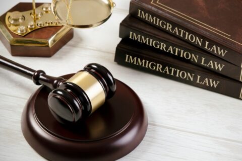 Law Hammer & Immigration Law Books