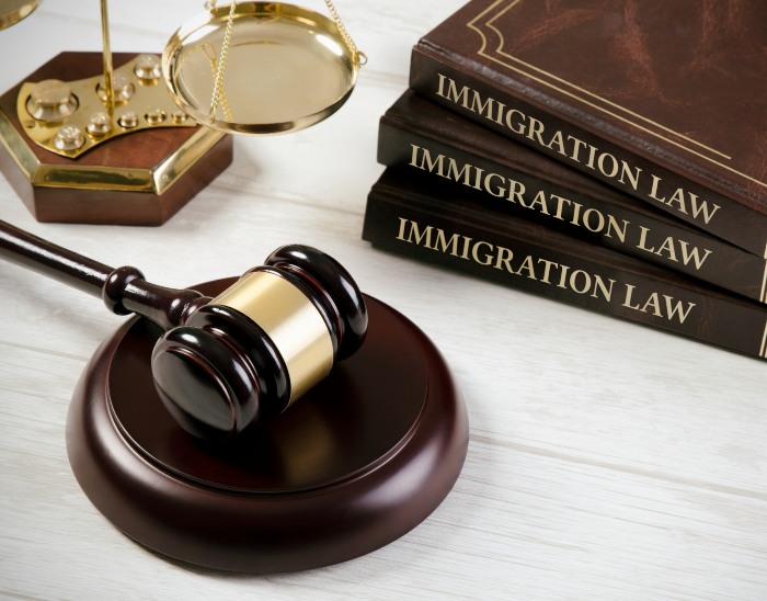 Law Hammer & Immigration Law Books